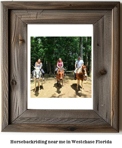 horseback riding near me in Westchase, Florida